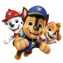 Paw Patrol Boyama