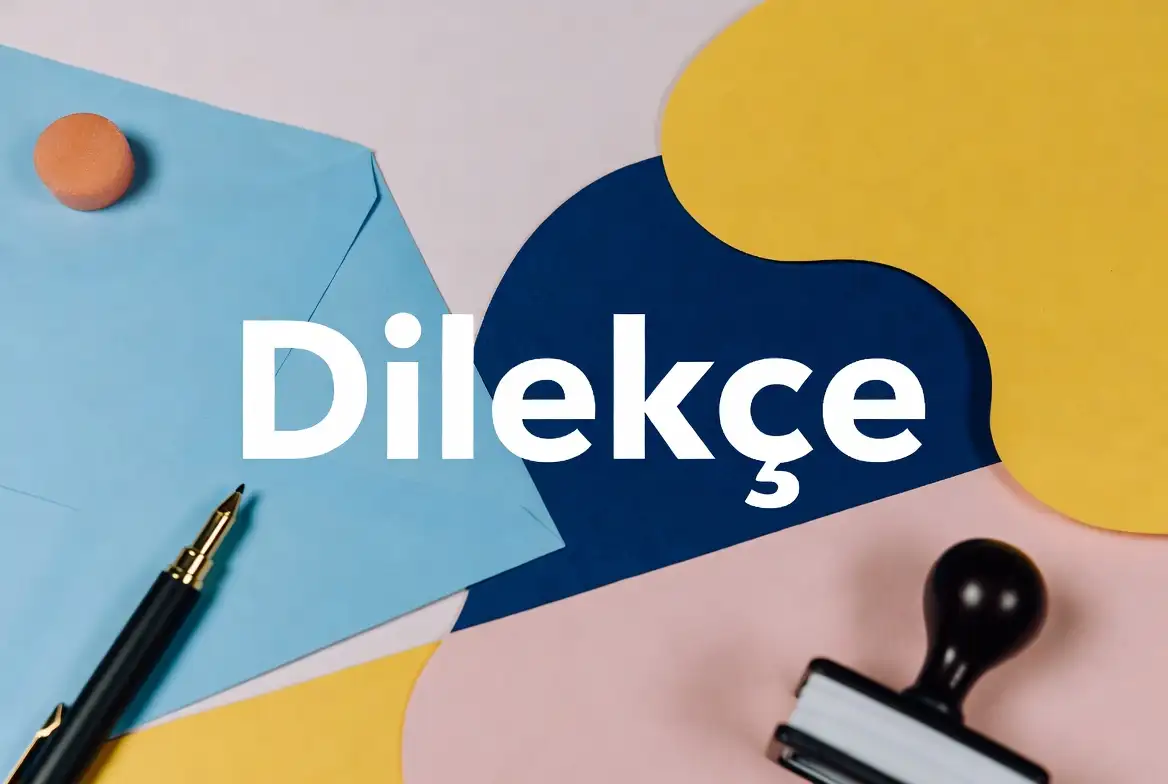 Dilekçe konu anlatımı