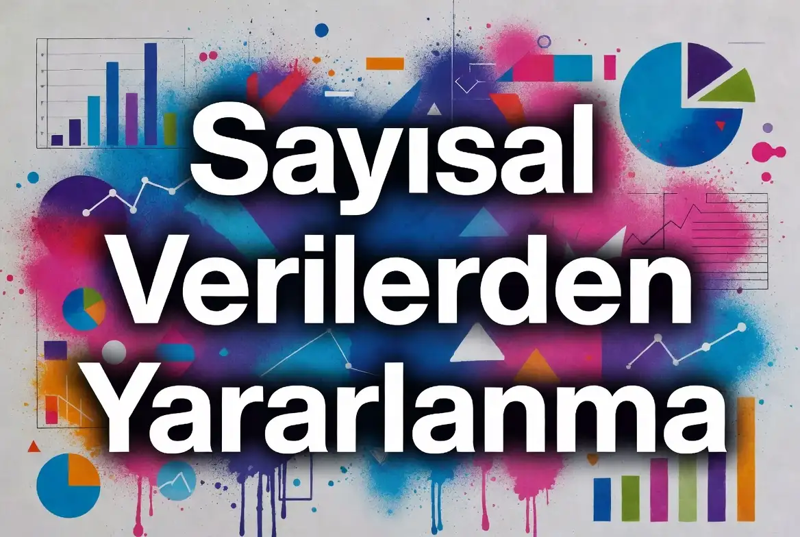 Sayısal Verilerden Yararlanma konu anlatımı