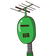 guest