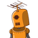 guest