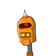 guest