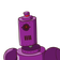 guest
