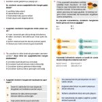 7. Sinif Cumlede Anlam Testi 5 Turkcen Serisi 1
