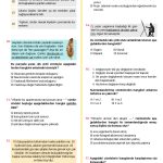 7. Sinif Cumlede Anlam Testi 6 Turkcen Serisi 2