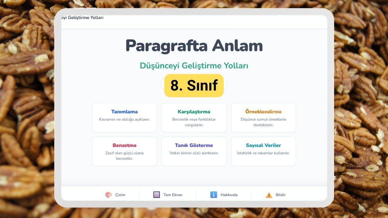 8. Sinif Dusunceyi Gelistirme Yollari Sunusu 1