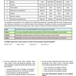7. Sinif Sozel Mantik Testi 2 Turkcen Serisi 2