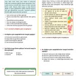 7. Sinif Sozel Mantik Testi Turkcen Serisi 1