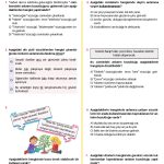 -7. Sinif Anlatim Bozukluklari Testi 1 Turkcen Serisi 1