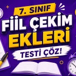 -7. Sinif Fiil Cekim Ekleri Testi Coz