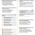 -7. Sinif Fiil Cekim Ekleri Testi Turkcen Serisi 1