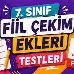 -7. Sinif Zarflar PDF Test