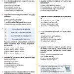 -7. Sinif Zarflar Testi Turkcen Serisi 1