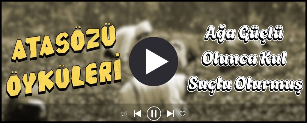 Atasozu Oykuleri Turkcen 1