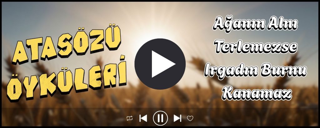 Atasozu Oykuleri Turkcen 3
