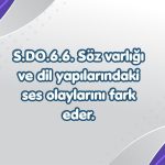 -6. sinif TYMM 1