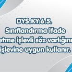 -6. sinif TYMM 8